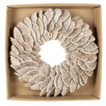 Product Natural Baumschwamm Wreath with Fiber Base 37cm