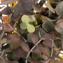 Product Artificial Eucalyptus Wreath Round 45cm Green and Brown