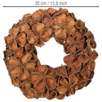 Product Natural Dried Lotus Wreath 35cm Brown for Home Decoration