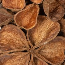 Product Natural Dried Lotus Wreath 35cm Brown for Home Decoration