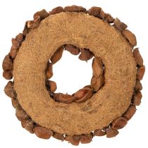 Product Natural Dried Lotus Wreath 35cm Brown for Home Decoration