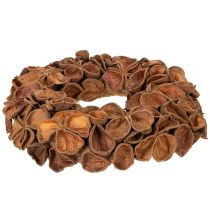 Product Natural Dried Lotus Wreath 35cm Brown for Home Decoration