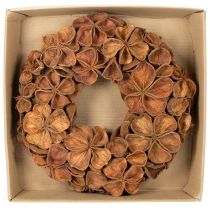 Product Natural Dried Lotus Wreath 35cm Brown for Home Decoration