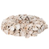 Product Natural Dried Lotus Flower Wreath 35cm for Indoor Decoration
