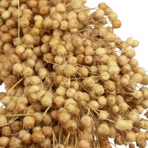 Product Natural Flax Wreath 28cm Ø - Dried Boho Decoration
