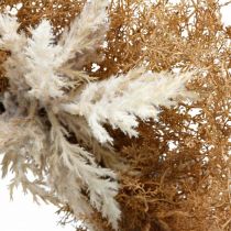 Product Deco wreath artificial pampas grass cream, brown door wreath Ø60cm