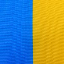 Product Wreath ribbon moiré blue-yellow 100 mm