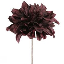 Product Artificial Dahlia with large flower in Burgundy L58cm