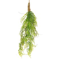 Product Artificial Pea Plant Jute for Hanging Green H80cm