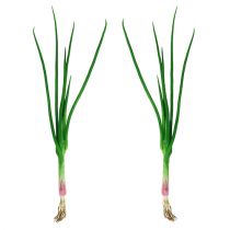 Artificial spring onions 30cm 4pcs