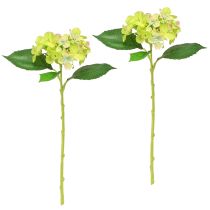 Product Artificial Hydrangeas Green Flowers Leaves L43cm 2pcs