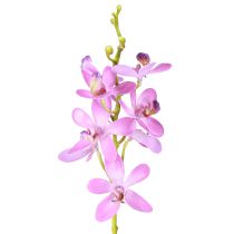 Product Artificial Orchids 8 purple flowers Ø3.5cm–5cm 2pcs