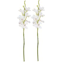 Product Artificial Orchids White Blossom Ø3.5–5cm L38cm 2pcs