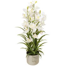 Product Artificial orchids in pot with white flowers H80cm