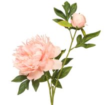 Product Artificial Peonies Pink Paeonia Salmon L60cm 2pcs