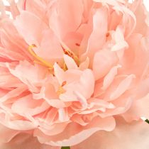 Product Artificial Peonies Pink Paeonia Salmon L60cm 2pcs