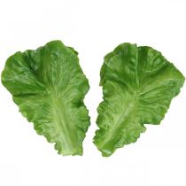 Deco lettuce Artificial lettuce leaves lettuce food replica 16×11cm