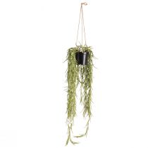 Product Artificial succulent hanging plant in black pot 60 cm - Durable interior decoration