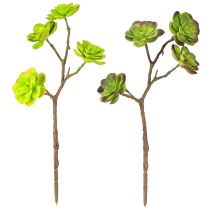 Product Artificial succulents with stem green purple assorted 32cm 2pcs