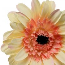 Product Artificial gerbera flower artificial flower apricot Ø11cm L50cm