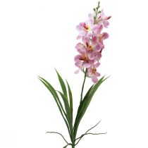 Product Artificial Orchid Pink White Artificial Flower Orchid 73cm