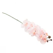 Product Artificial Orchid Pink Phalaenopsis Real Touch 58cm