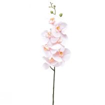 Product Artificial Orchid Pink Phalaenopsis Real Touch 83cm