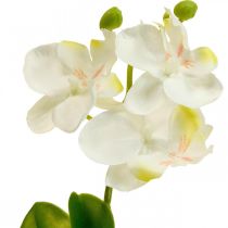 Artificial orchids Artificial flower orchid white 20cm