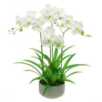 Artificial orchids artificial flowers in white pot 60cm