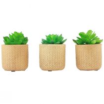 Artificial Succulents in Pot Artificial Plants Assorted 10cm 3pcs