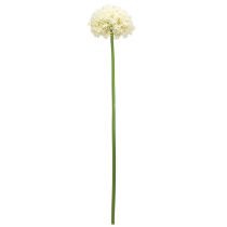 Product Artificial Allium Cream White Ornamental Onion Ø18cm L90cm