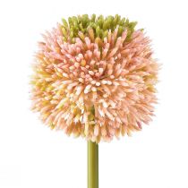 Product Artificial Allium Ornamental Onion Pink Green Ø10cm L65cm