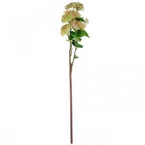 Product Artificial lilac elder branch deco branch H77cm
