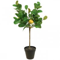 Product Artificial lemon tree in a pot Lemon tree H57cm