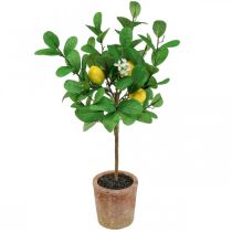 Product Artificial lemon tree, 58cm pot, decorative tree, Mediterranean style