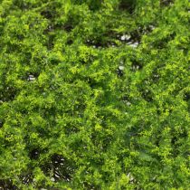 Product Artificial moss mat artificial moss artificial plants 70×35cm