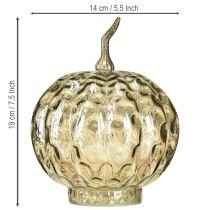 Product Pumpkin decoration glass glass pumpkin table decoration autumn Ø14cm H19cm