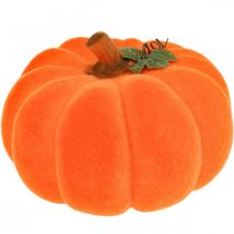 Product Pumpkin deco orange large Flocked autumn decoration Ø30cm