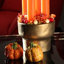 Product Decorative pumpkins for autumnal table decoration, 6cm, 2 pieces