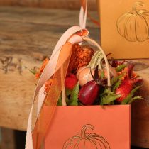 Product Pumpkin Set: Small decorative pumpkins for autumn decoration, 5cm, 3 pieces