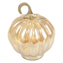 Pumpkin decoration glass glass pumpkin table decoration orange Ø14cm H18cm