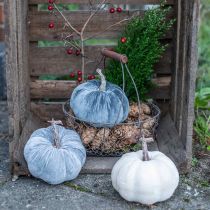 Product Pumpkin Decoration Autumn Beige Grey Flocked H11cm Ø12cm 3 pcs