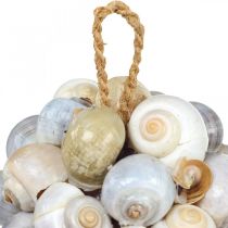 Maritime decoration ball sea snail shell ball natural decoration Ø12cm