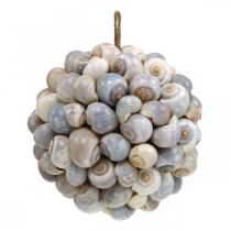 Product Decorative ball sea snails shell ball natural decoration maritime Ø19cm