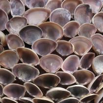Product Shell ball Sea shell decor for hanging Marine decoration Ø18cm