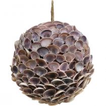 Decorative ball shells shell decoration for hanging maritime decoration Ø18cm