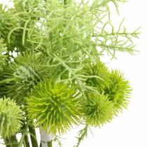 Product Ball thistle in a bunch artificial green assorted 34cm 10pcs