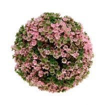 Product Decorative Ball Pink Green Ball Plant Ø15cm 1 pc