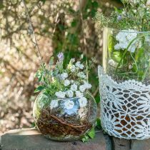 Ball vase glass flower vase round glass decoration H11cm Ø15cm