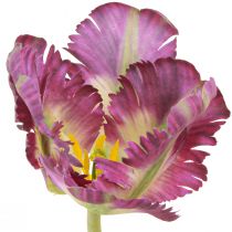 Product Artificial flower parrot tulip artificial decorative tulip purple 63cm